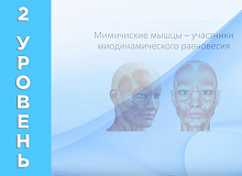 Функциональные нарушения, приводящие к эстетическим изменениям лица у взрослых. Использование трейнеров Myobrace и вестибулярных пластинок Dr.Hinz терапия. Использование трейнеров Myobrace и вестибулярных пластинок Dr. Hinz для коррекции нарушений жевания